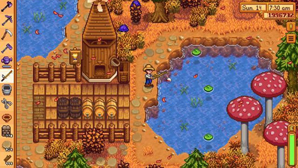 Stardew valley