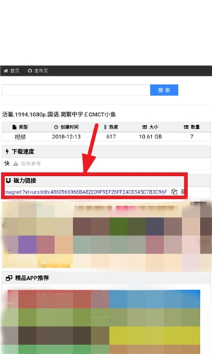 雨花阁搜索引擎