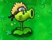 植物大战僵尸火影版v1.20