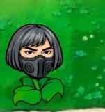 植物大战僵尸三角洲