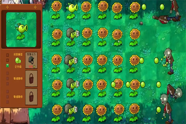 pvz共生版