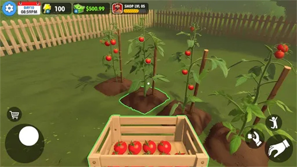 农场超市模拟器截图4