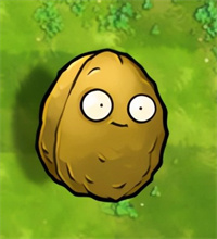 植物大战僵尸融合版旅行版本