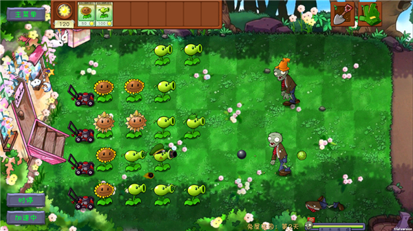 植物大战僵尸共生版手机版