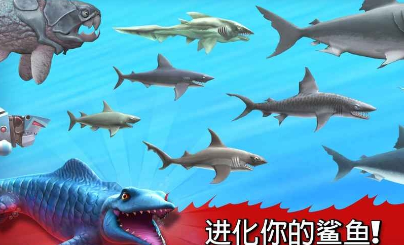 饥饿鲨进化