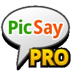 picsaypro完美汉化版