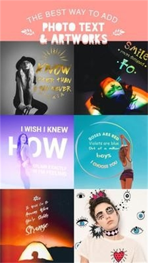 picsaypro完美汉化版