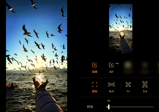 让照片动起来的软件