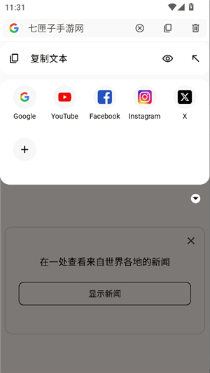 soul浏览器精简版