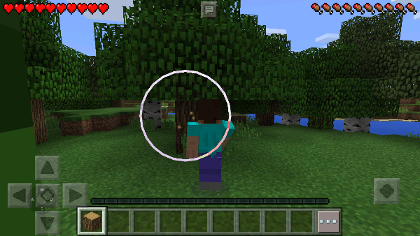 我的世界基岩版1.21.100.6