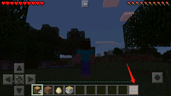 我的世界基岩版1.21.100.6