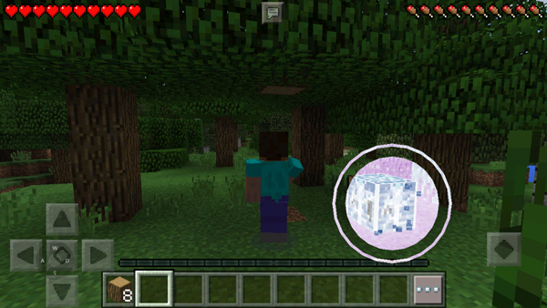 我的世界基岩版1.21.100.6