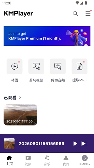 kmplayer中文版