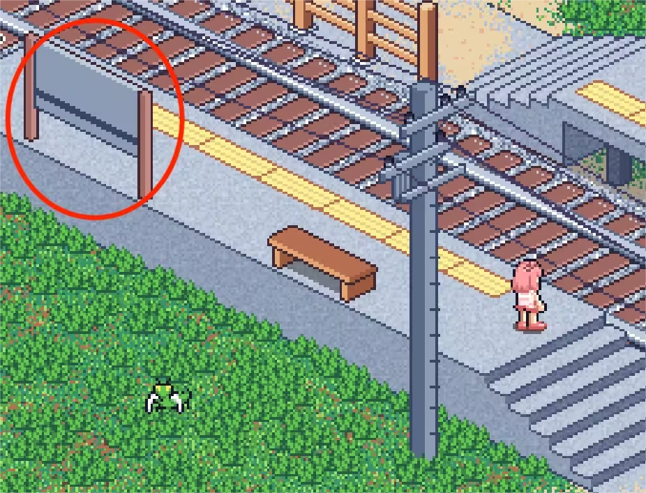 寻找夏日的宝物