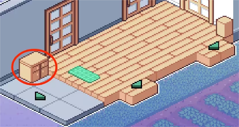 寻找夏日的宝物