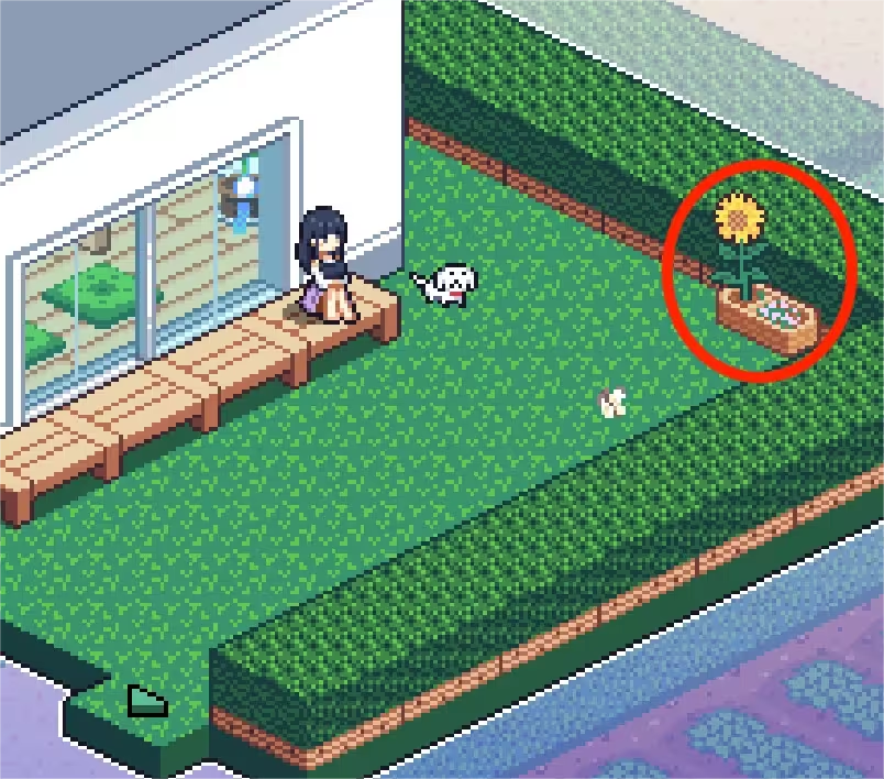 寻找夏日的宝物