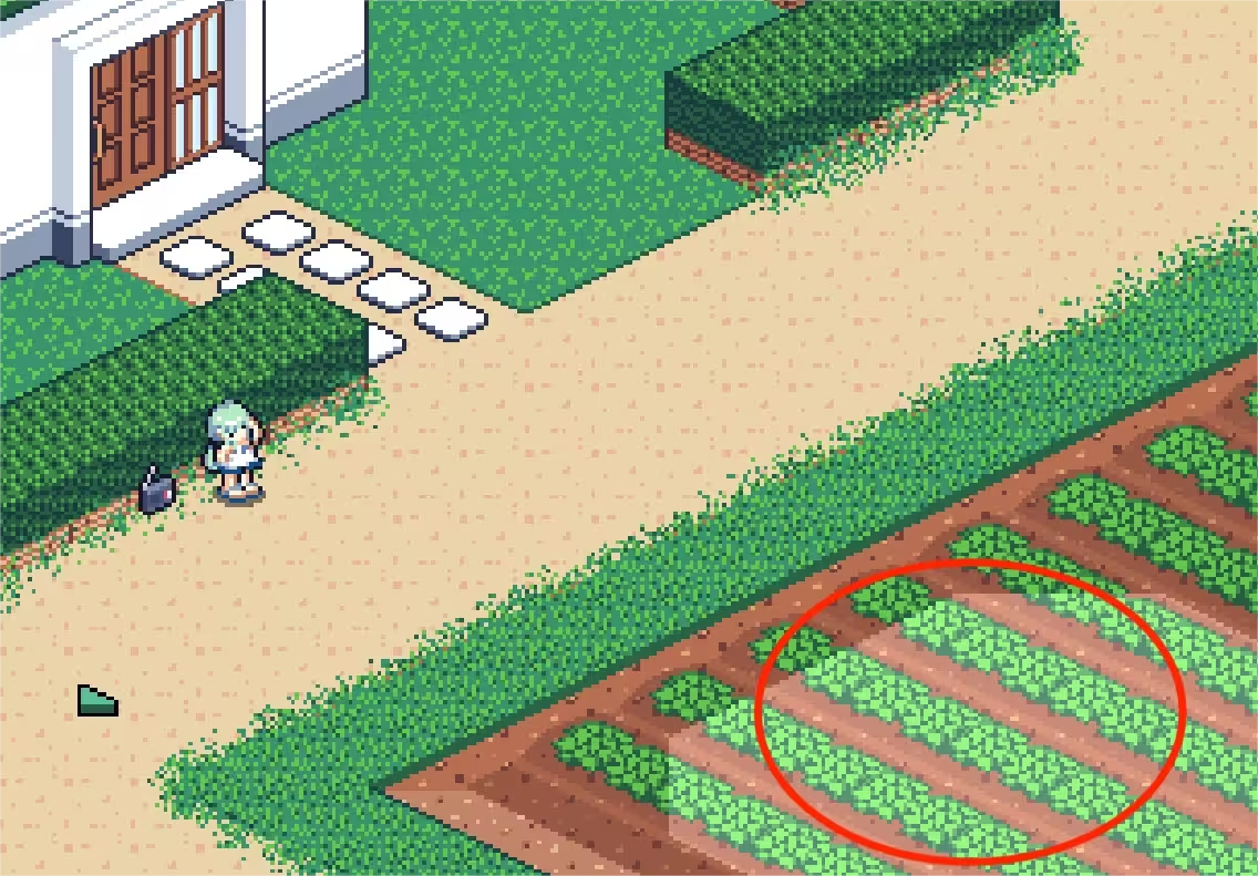 寻找夏日的宝物