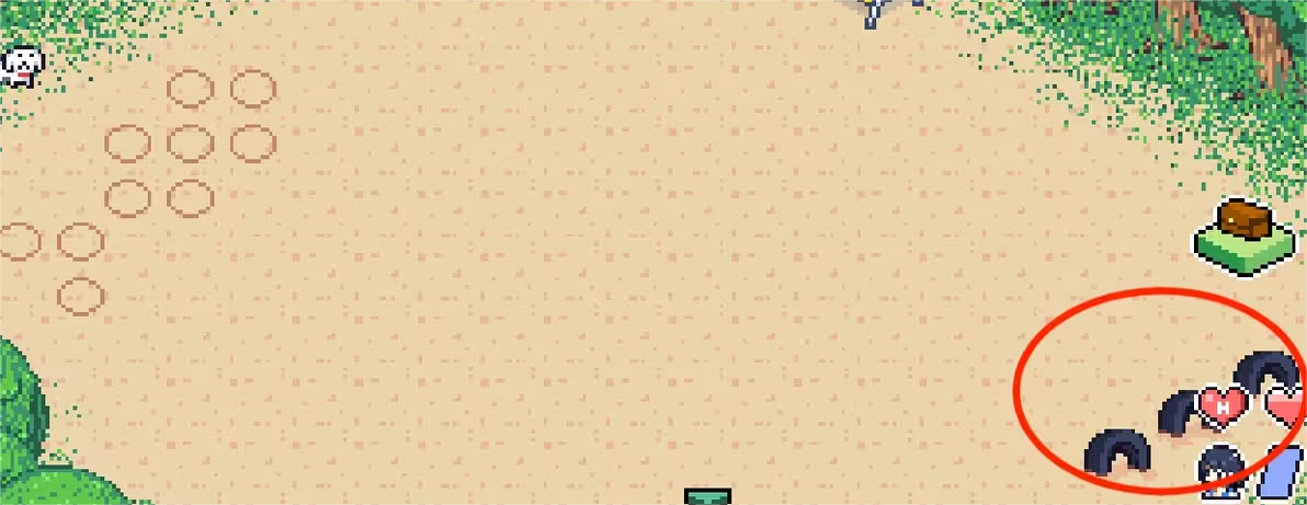 寻找夏日的宝物