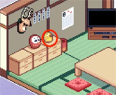 寻找夏日的宝物