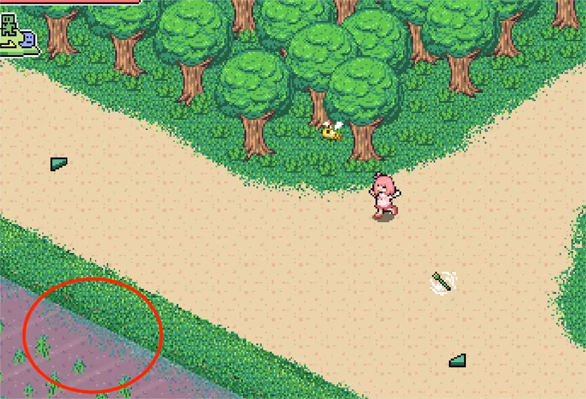 寻找夏日的宝物