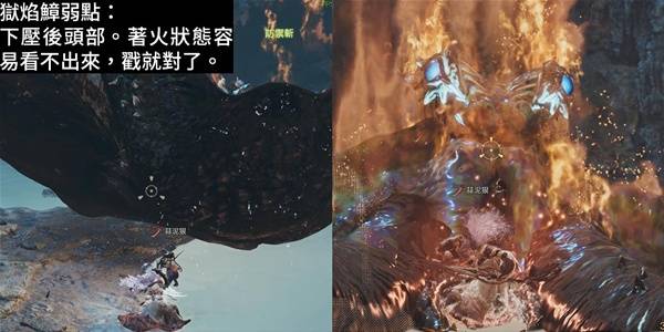 怪物猎人荒野9狱焰鱆弱点及打法