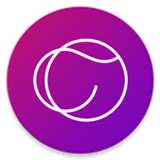 cot表盘手表端apk