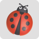 甲壳虫调试助手