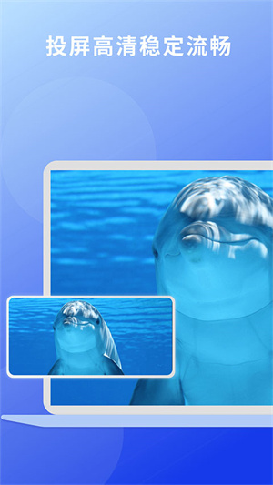 EV投屏手机版截图3