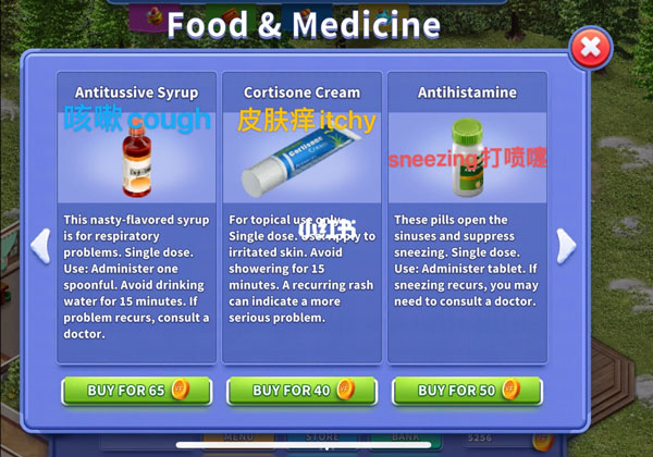 虚拟家庭3中文版