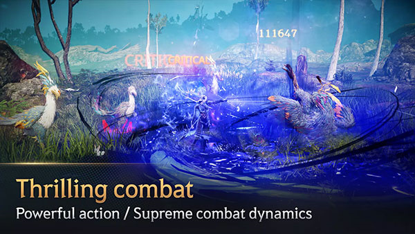 黑色沙漠手游截图6