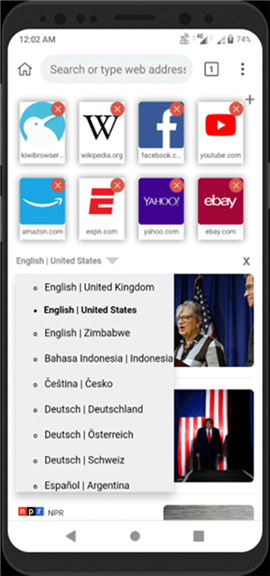 kiwi浏览器手机版中文版