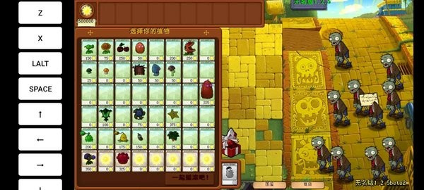 植物大战僵尸无名版1.2.5