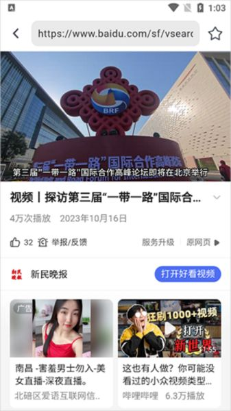 熊猫浏览器手机版安卓版