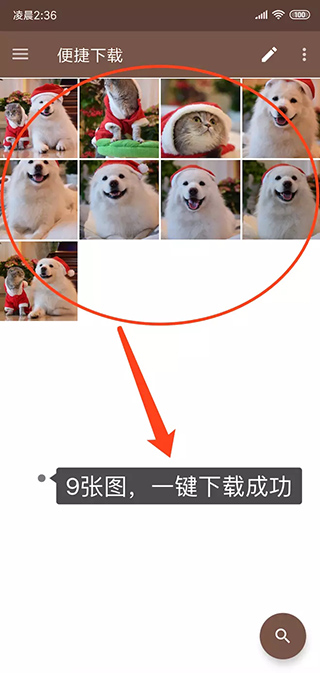 便捷下载高级版