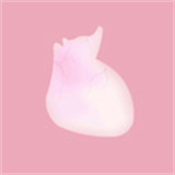 生命人体模拟器