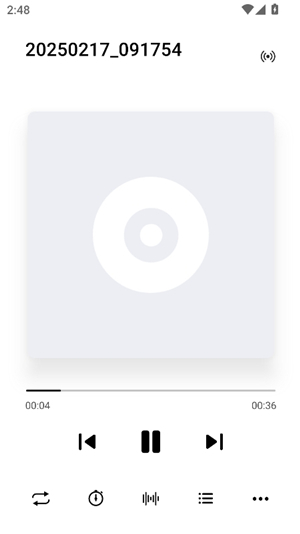 椒盐音乐(Salt Player)