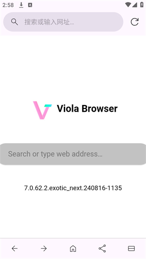 Viola Next浏览器截图1