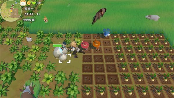 牧场气息测试服