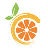 Citron模拟器正版