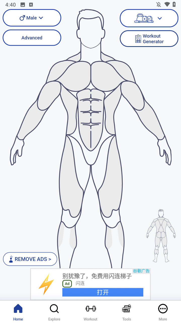 Musclewiki手机版