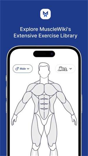 Musclewiki手机版