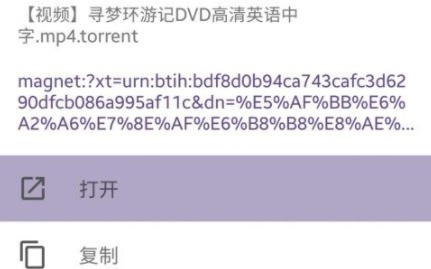 skrbt引擎浏览器