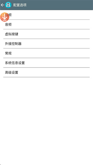 nds模拟器drastic截图2