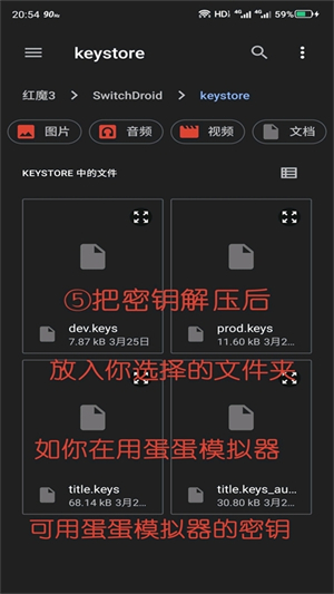 skyline模拟器安卓版