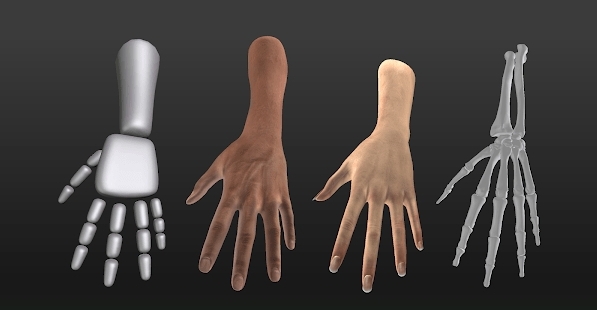 headmodelstudio安卓版