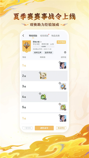 王者荣耀隐藏战绩查询助手