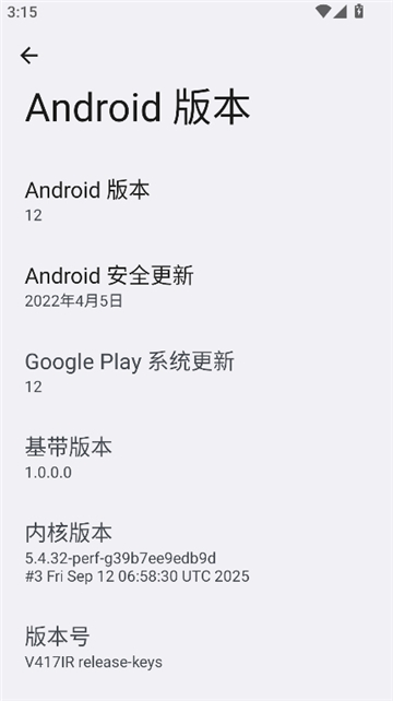 开发者选项截图4
