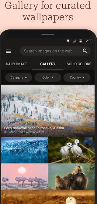 wallpapers截图1