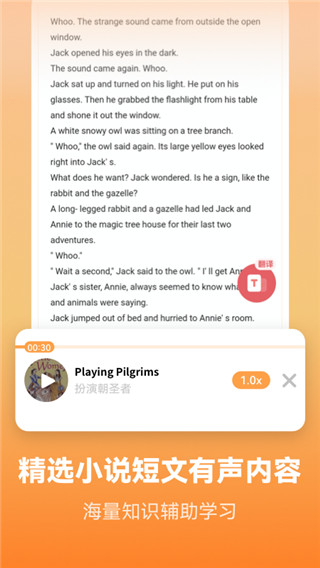 莱特英语背单词截图2