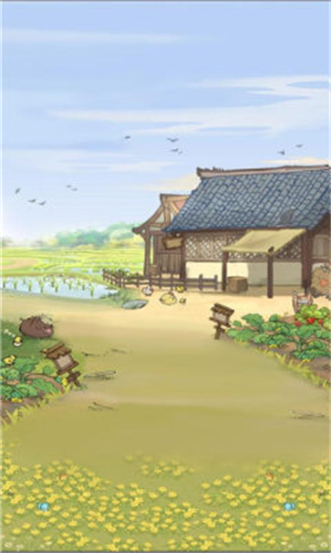 种菜忙不停截图3